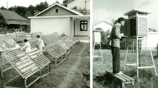 1958